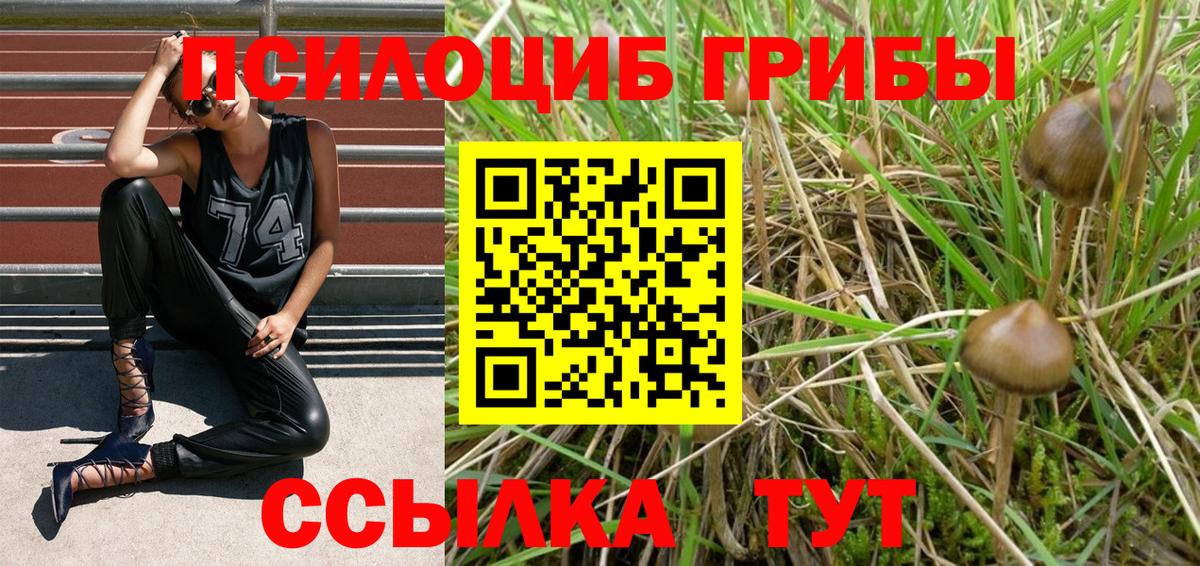 Галлюциногенные грибы мицелий  наркотики  Борзя  Вход с VPN 