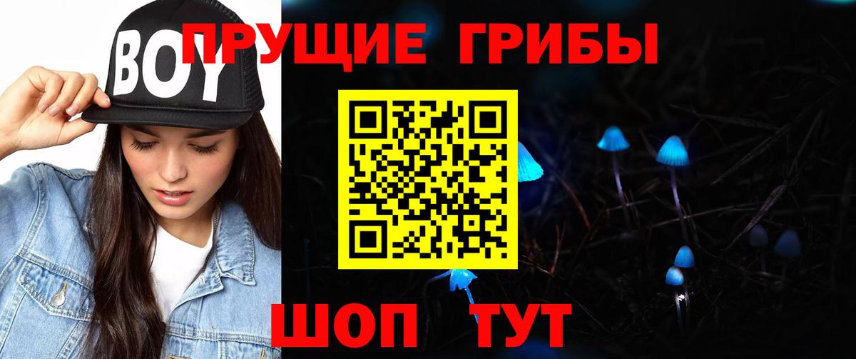 Галлюциногенные грибы Cubensis Борзя