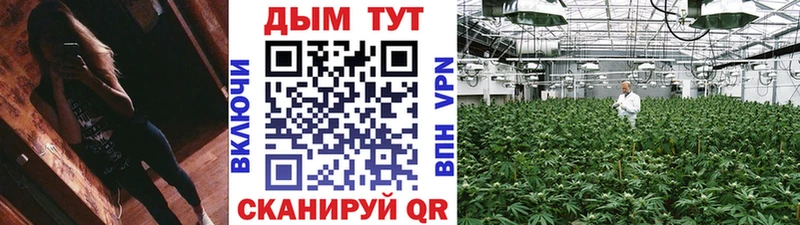 дарнет шоп  Борзя  Бошки Шишки THC 21% 